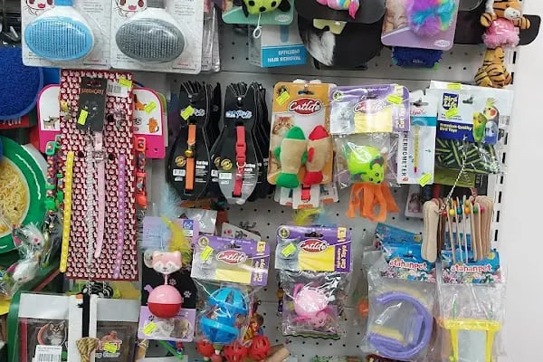 Botanik Petshop - Resim 3