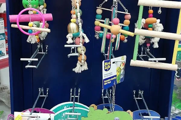 Botanik Petshop - Resim 18