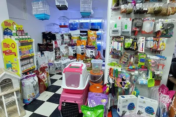 Botanik Petshop - Resim 12