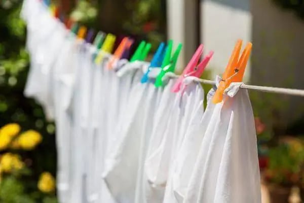 Kuzey Kuru temizleme Çamaşır Yıkama ve Ütüleme Salonu - Resim 6