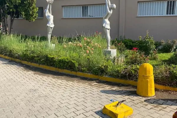 Aliağa Ulaş Bayam Açık Hava Tiyatrosu - Resim 4