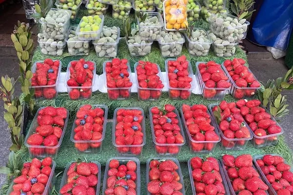 Ortaköy Sebze Meyve Dünyası - Resim 11