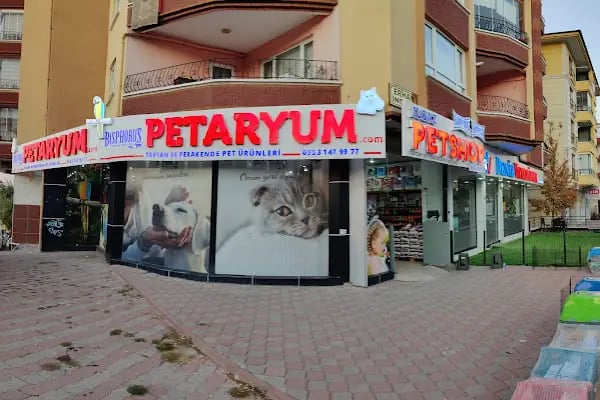 Petaryum Ilgaz Pet - Resim 8