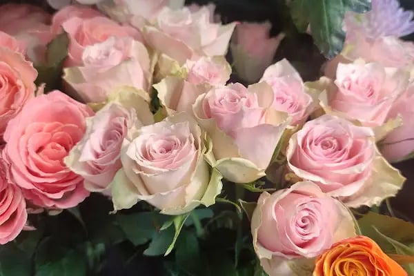 Happy Flower Shop - Resim 18