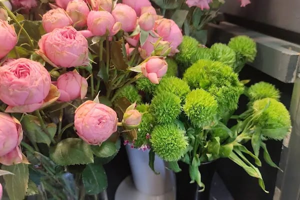 Happy Flower Shop - Resim 14