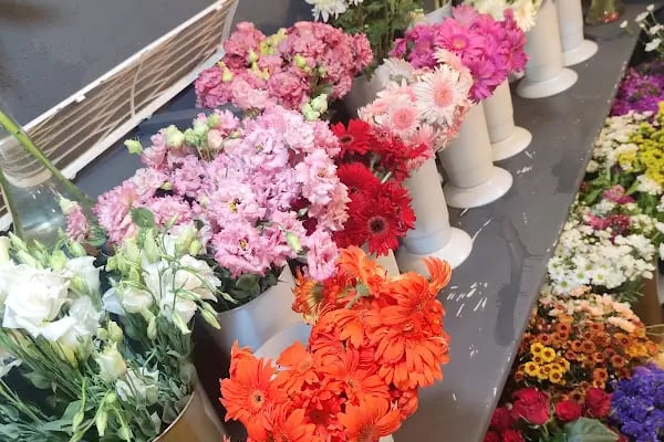 Happy Flower Shop - Resim 20