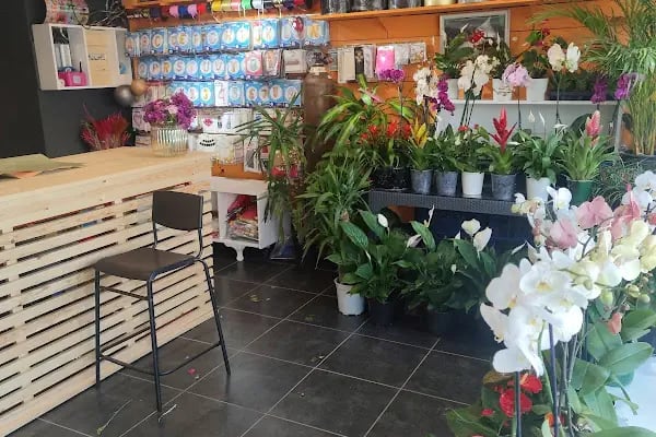 Happy Flower Shop - Resim 3