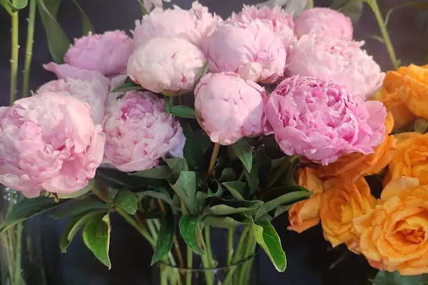 Happy Flower Shop - Resim 15