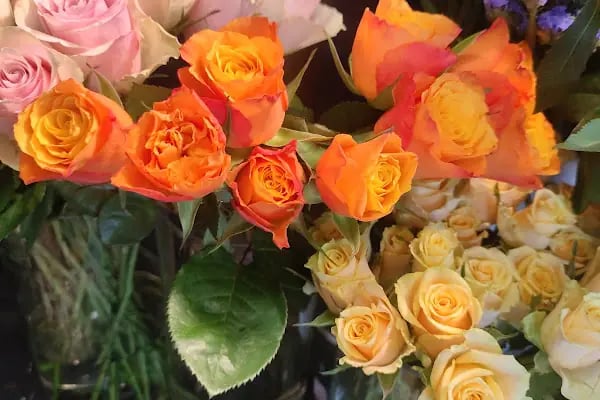 Happy Flower Shop - Resim 11