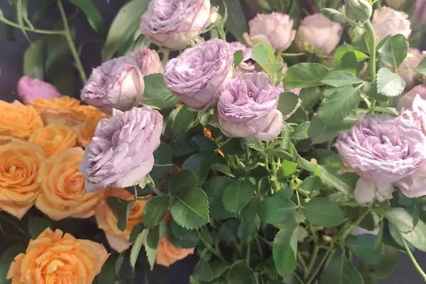 Happy Flower Shop - Resim 10