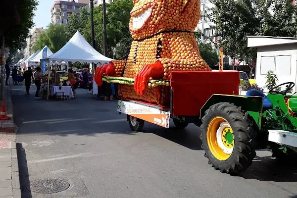 Mersin Sistem Cerrahi Tıp Merkezi - Resim 10