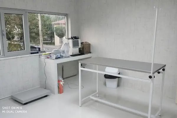 Vet20 Veteriner Kliniği - Resim 18