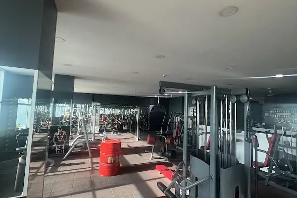 Flex Fitness - Resim 20