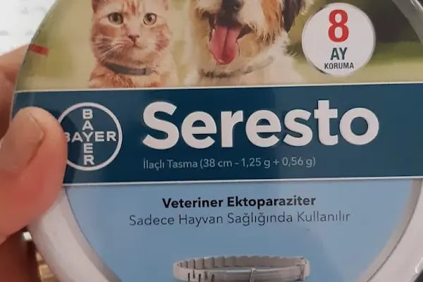 YENİ BAŞKENT VETERINER KLİNİĞİ - Resim 9