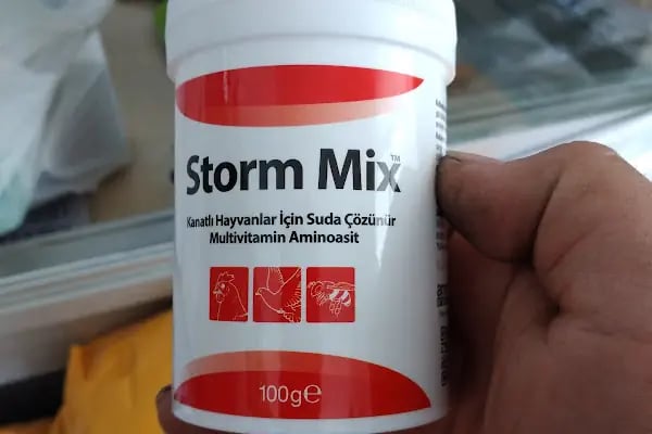 YENİ BAŞKENT VETERINER KLİNİĞİ - Resim 12