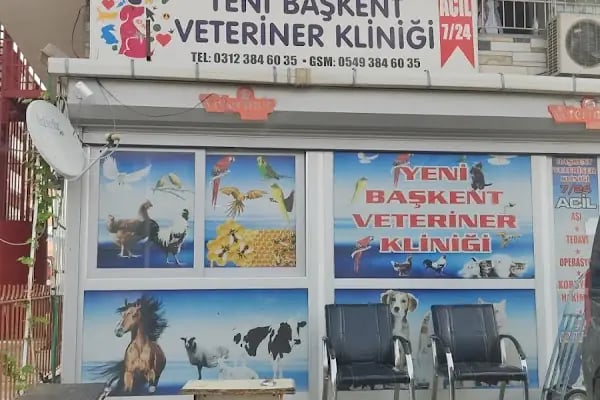 YENİ BAŞKENT VETERINER KLİNİĞİ - Resim 16