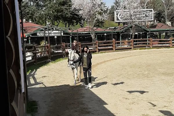 Köyüm At Çiftliği - Resim 14