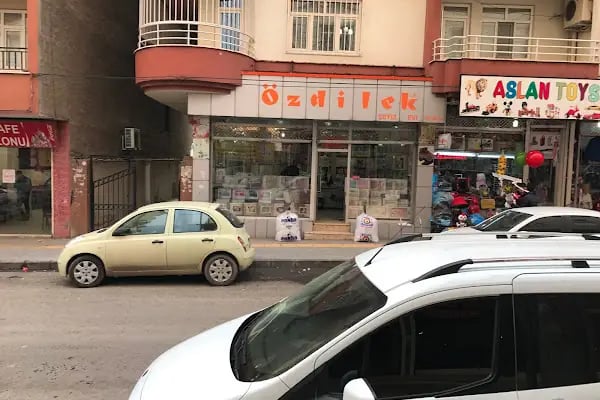 Bismil Özdilek - Resim 2