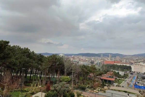 Osmangazi Millet Kütüphanesi - Resim 13