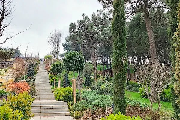 Osmangazi Millet Kütüphanesi - Resim 6