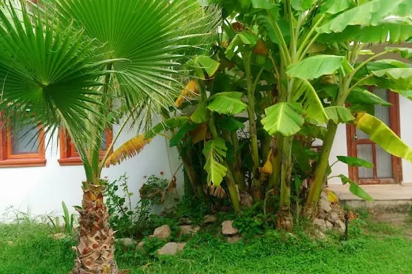 Bizimköy Tatil Köyü - Resim 10