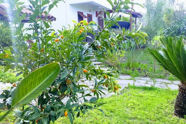 Bizimköy Tatil Köyü - Resim 13