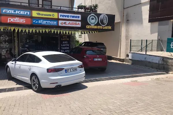 Alanya Lastik - Resim 19