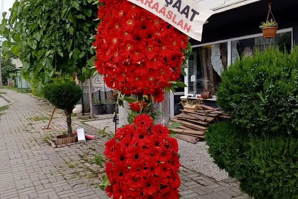 Sakarya Çiçekçisi - Resim 11