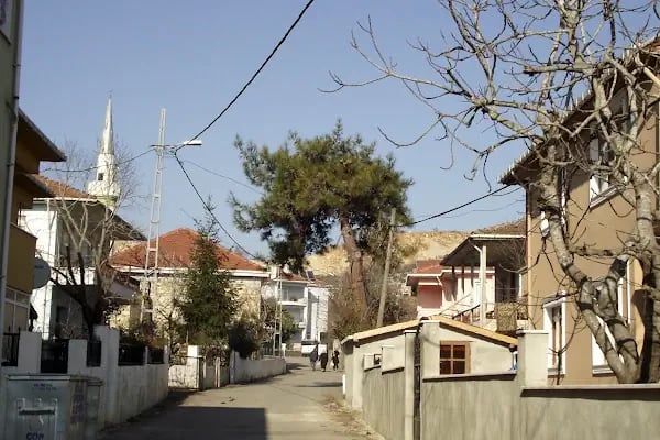 Ahmetli Köyü Cami - Resim 13
