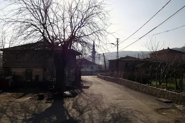Ahmetli Köyü Cami - Resim 14
