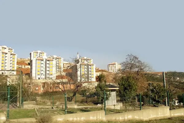 Ahmetli Köyü Cami - Resim 7