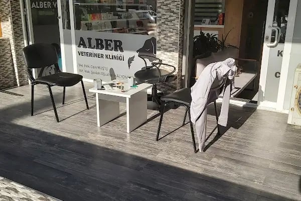 Alber Veteriner Kliniği - Resim 19