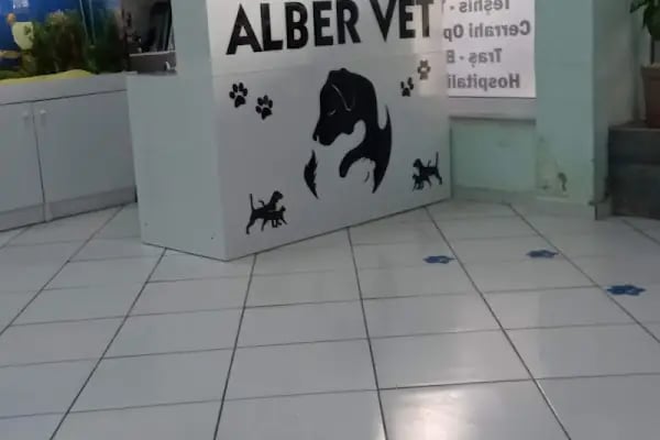 Alber Veteriner Kliniği - Resim 11