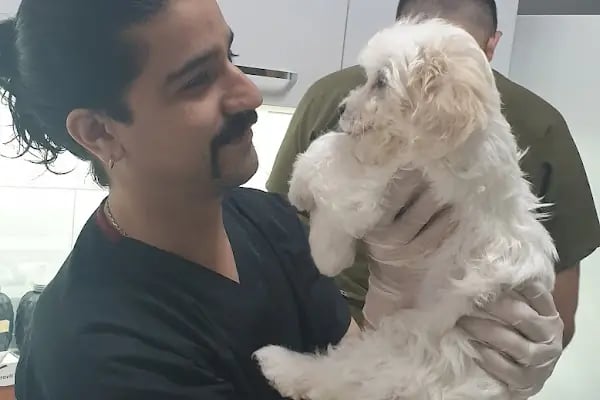Alber Veteriner Kliniği - Resim 15