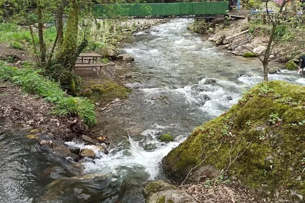 Taşköprü Restaurant Kafe - Resim 12