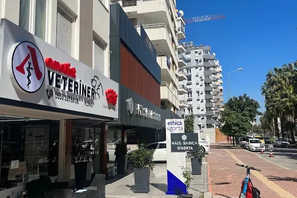 Ametist Veteriner Kliniği - Resim 17