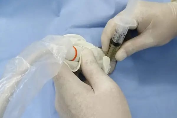 Ametist Veteriner Kliniği - Resim 6