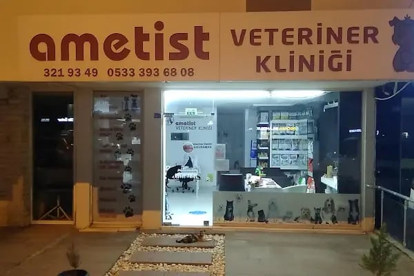 Ametist Veteriner Kliniği - Resim 15