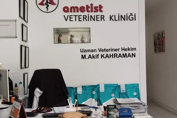 Ametist Veteriner Kliniği - Resim 13