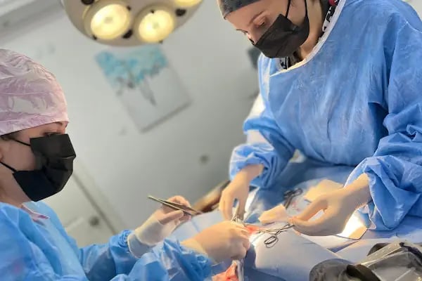 Ametist Veteriner Kliniği - Resim 18