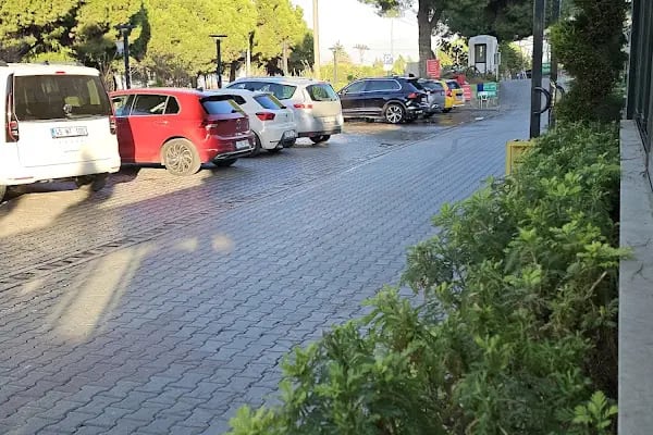 Taylan Restaurant - Resim 12