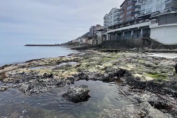 Trabzon Sea Pearl (منازل للإيجار)otel - Resim 7