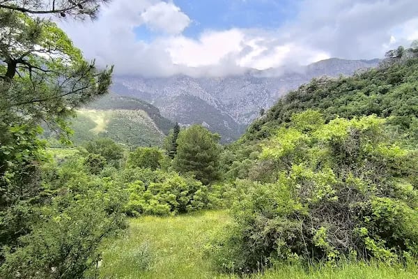 Belemedik Tabiat Parkı - Resim 16