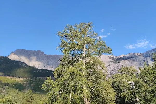 Belemedik Tabiat Parkı - Resim 3