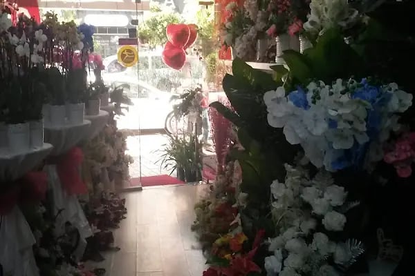 Alanya Başak Çiçekçilik - Resim 4