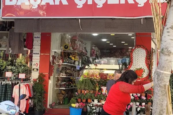 Alanya Başak Çiçekçilik - Resim 9