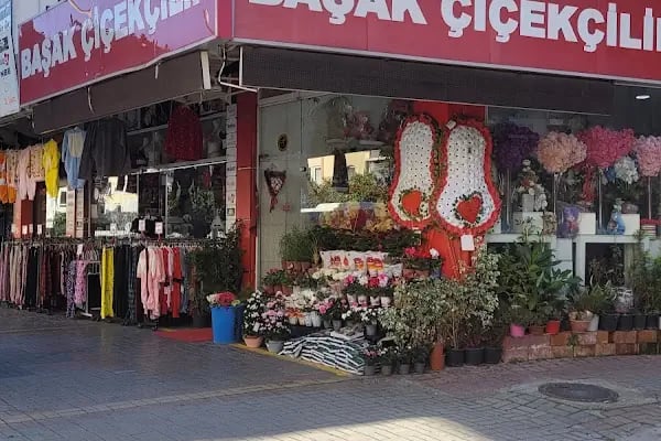 Alanya Başak Çiçekçilik - Resim 11