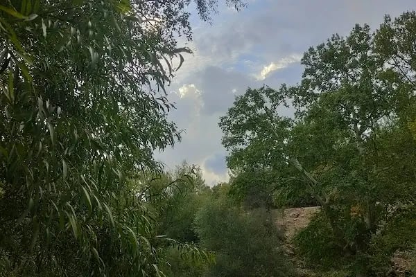 Üzümdere - Resim 7
