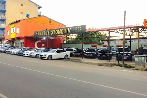 Karatut Oto - Resim 1
