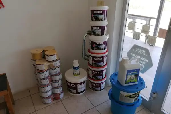 Kutup Veteriner Kliniği Bodrum - Resim 8